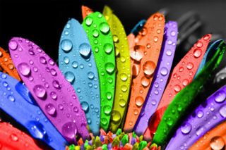Illustration for article titled Colors in marketing or why Facebook is blue